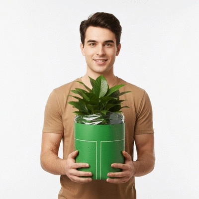 Person holding a carefully packaged plant for shipping
