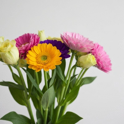 Gros plan sur un bouquet de fleurs fraîches avec des pétales fermes et vibrants, et des tiges vertes et souples, sur un fond clair et doux, sans texte, sans mots, sans typographie, 8K