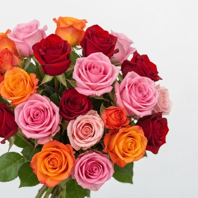 Bouquet de roses variées pour un anniversaire à Marseille, avec des couleurs vives